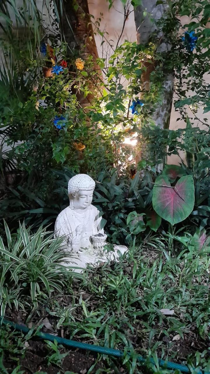 Casa Atrapasuenos Hotel วัลลาโดลิด ภายนอก รูปภาพ